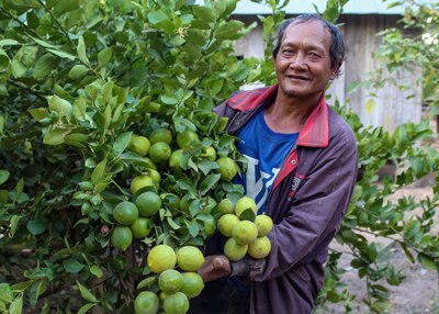 man showing a fruit tree