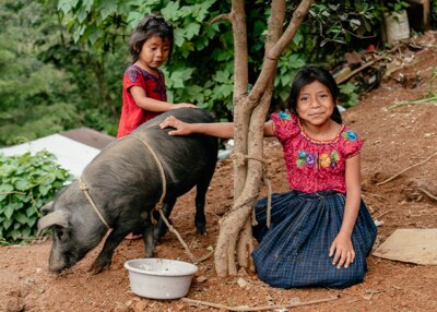 Two little girls with a pig