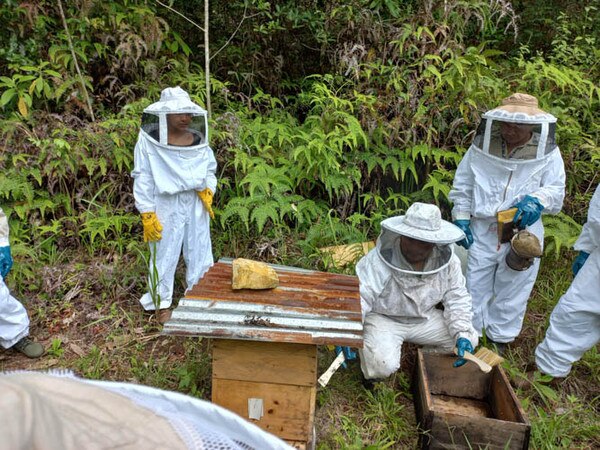 three beekeepers in white 