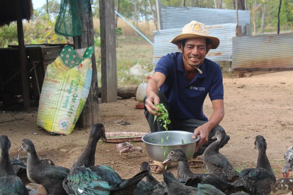 man feeding ducks